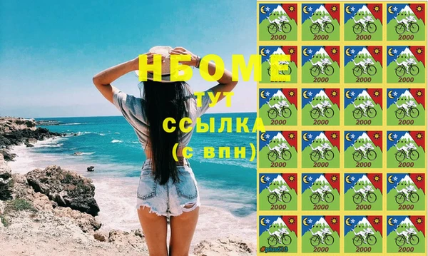 твердый Бородино