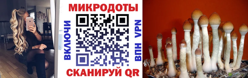 Галлюциногенные грибы Psilocybine cubensis  где купить   Партизанск 